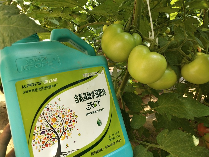 氨基酸水溶肥哪個品牌好？