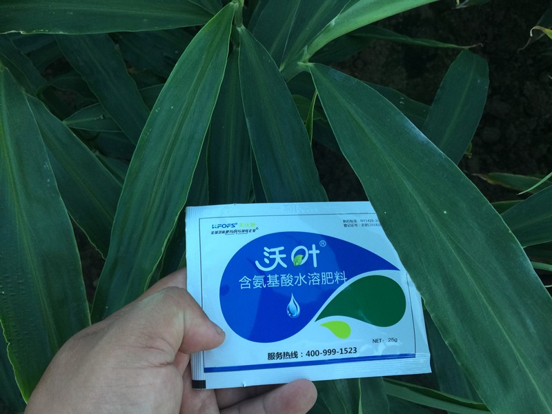 葉面肥與農(nóng)藥的搭配使用，你需要了解一下
