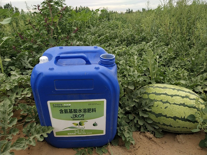 水溶肥品牌中，沃葉口碑人人稱贊！