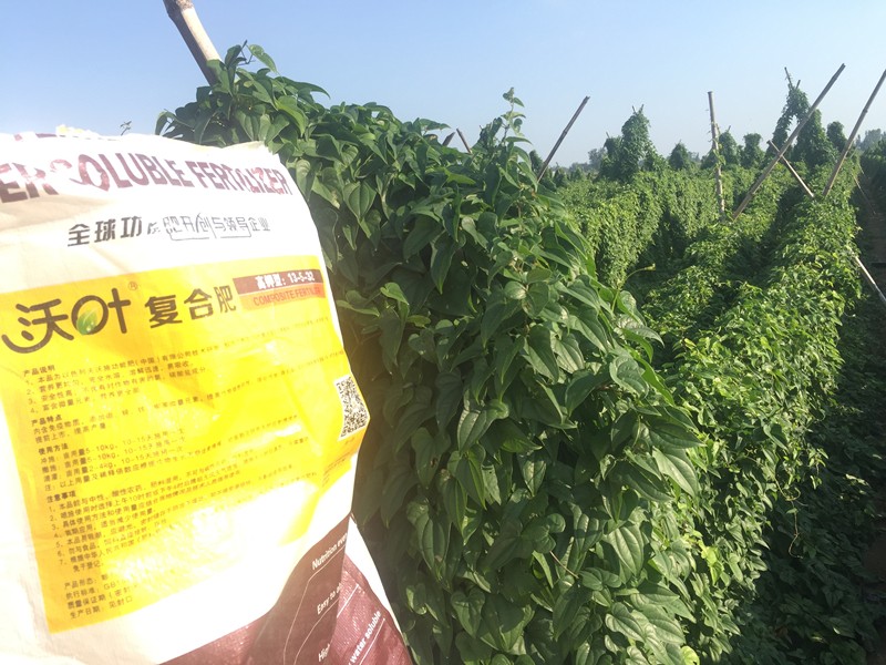 水溶肥廠家中，根據(jù)“賣點”選肥料