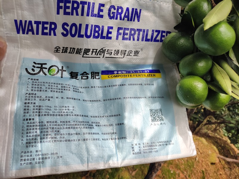 顆粒水溶肥-柑橘用沃葉顆粒水溶肥效果.jpg