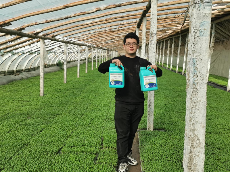 大棚辣椒施肥技術要點，都是干貨！