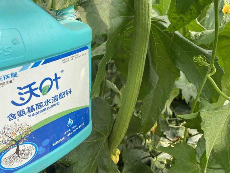 使用沖施肥的好處有哪些？