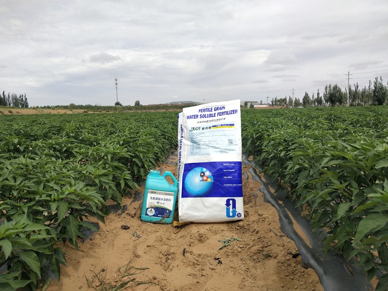 顆粒水溶肥具備的三大優(yōu)勢，讓你不得不愛！