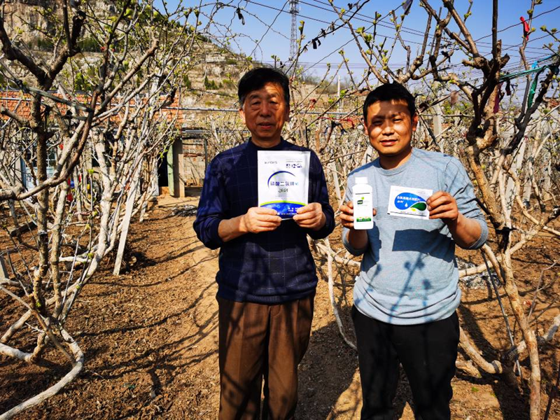 作物凍害怎么辦？如何預(yù)防？