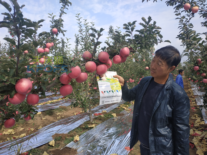 大量元素水溶肥的作用與功效，看這篇！