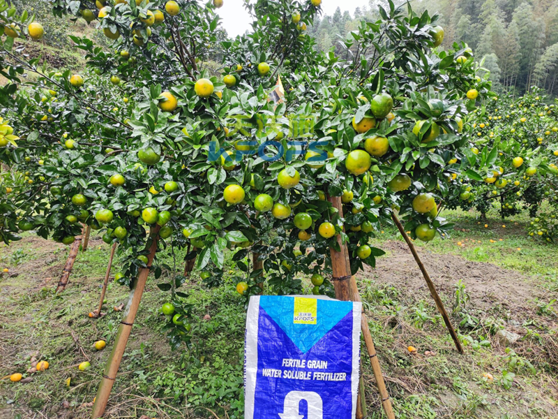 水溶肥排名中，沃葉有什么優(yōu)勢？