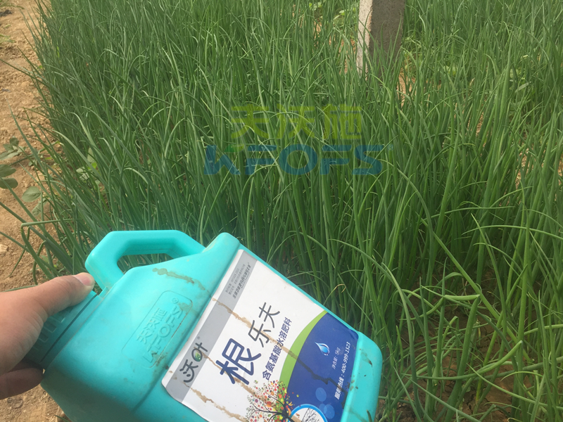 種蔥要用什么肥料-沃葉根樂夫生根劑2.png