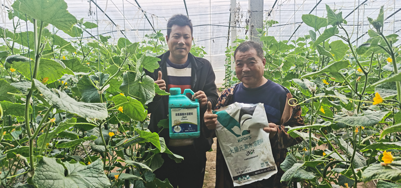 水溶肥為什么要選擇正規(guī)廠家？周總的教訓(xùn)！