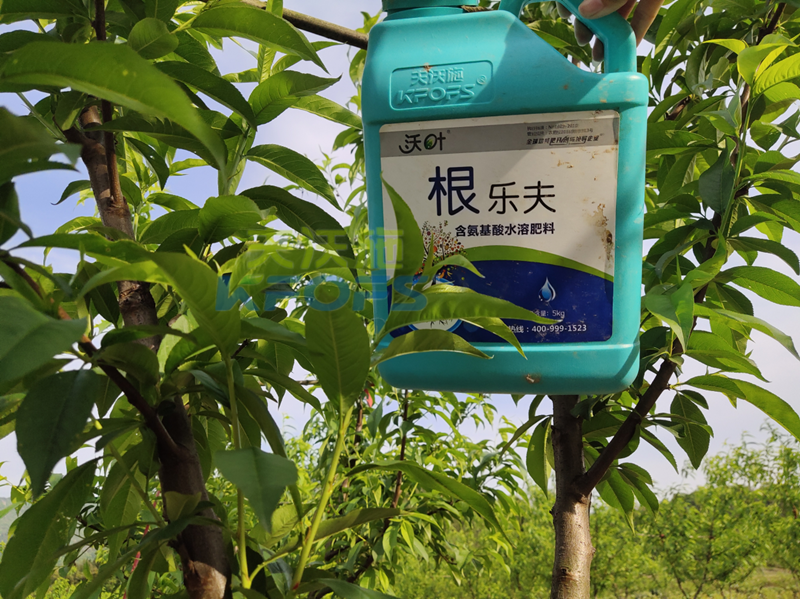 水溶肥-桃樹用沃葉根樂(lè)夫生根劑1.png