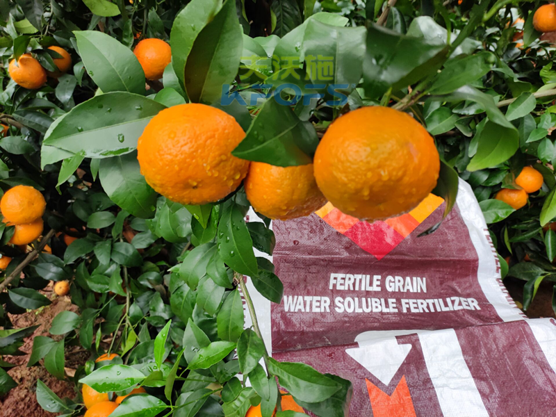 進口水溶肥到底怎么樣？郭老板告訴你這些