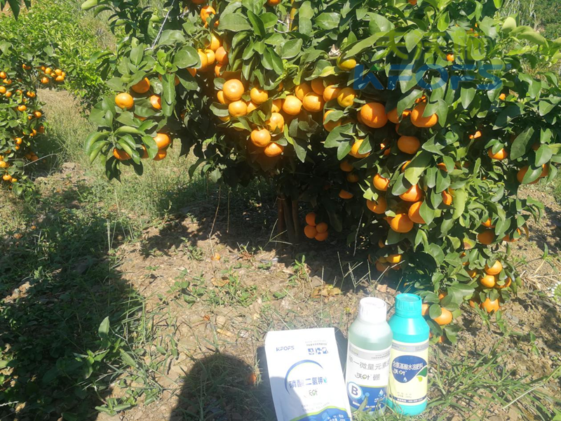 柑橘樹春季施肥技術(shù)-沃葉葉面肥套餐1.png