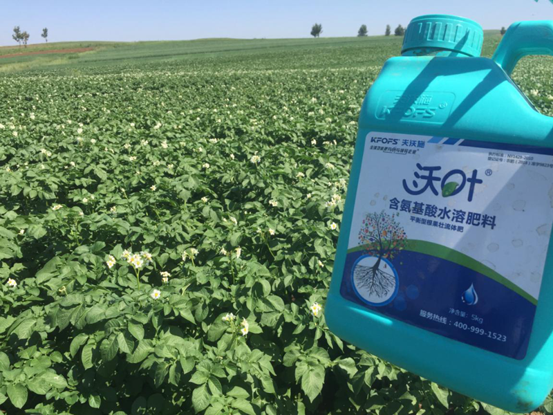 種植土豆，苗期怎么施肥