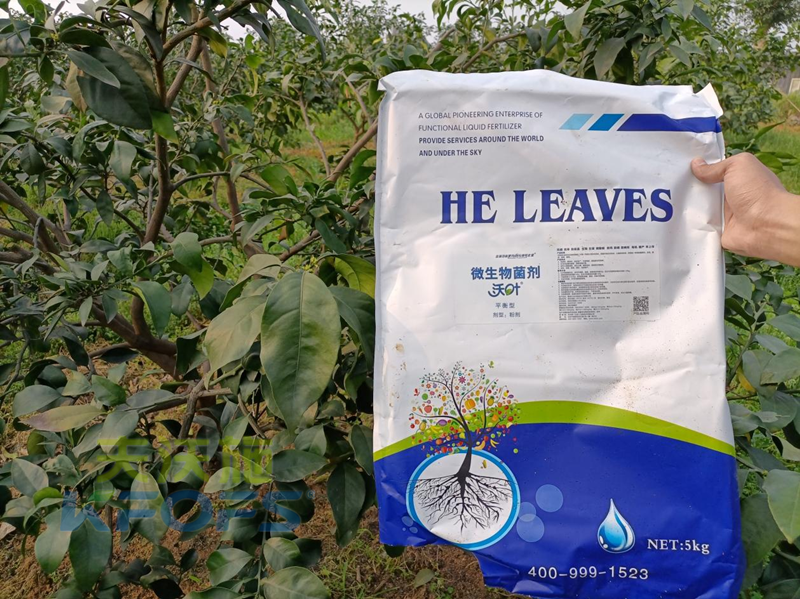 氨基酸水溶肥是怎么防御“倒春寒”的？