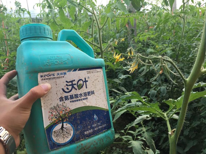 水溶肥如何在冬季使用？