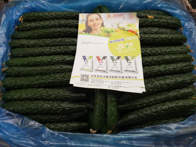 磷肥的作用！