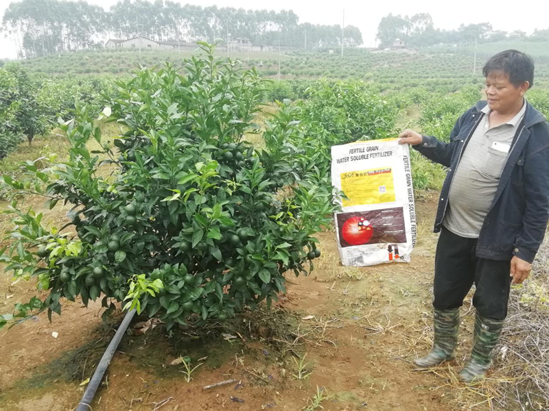 水溶肥的秘密！