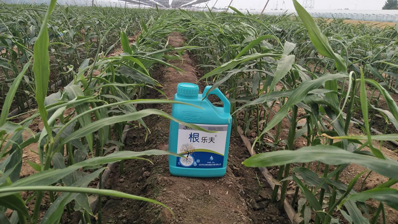 種植蔬菜用什么肥料？