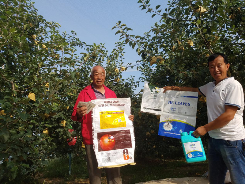 什么沖施肥好？