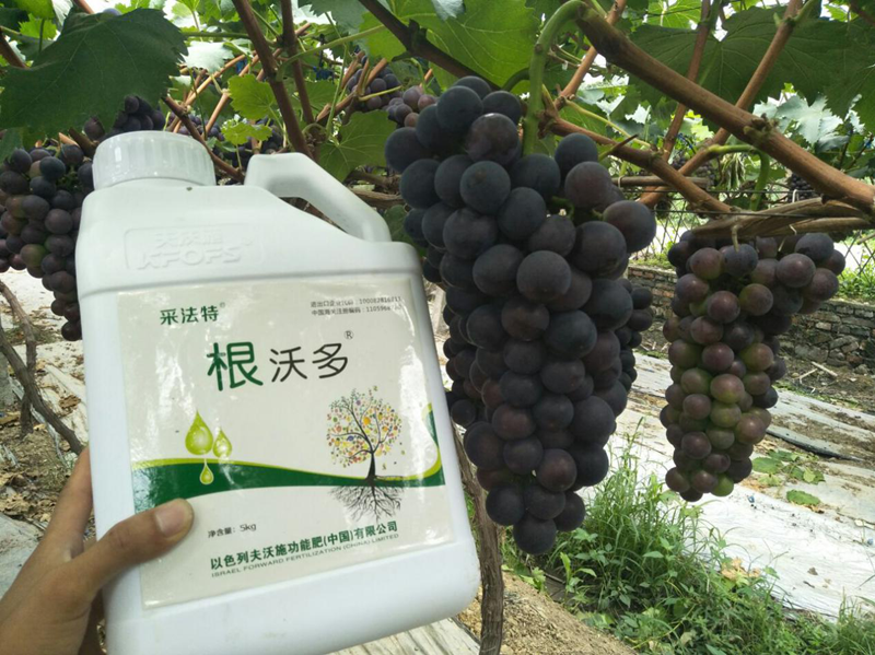 生根劑哪個好？養(yǎng)根護(hù)根很關(guān)鍵！