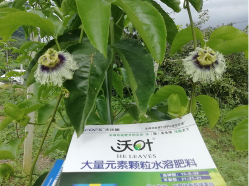 水溶肥-果樹(shù)用大量元素水溶肥效果.png