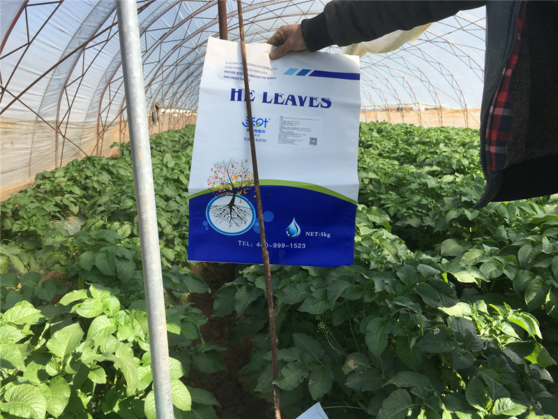 水溶肥使用效果不明顯？那是因為你沒有掌握這幾點