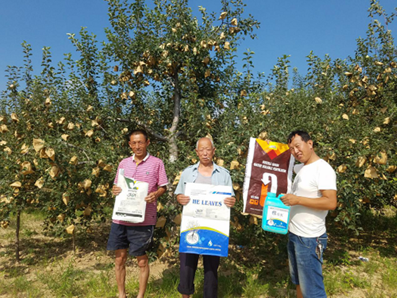 選擇水溶肥時需要查看哪些內容呢？