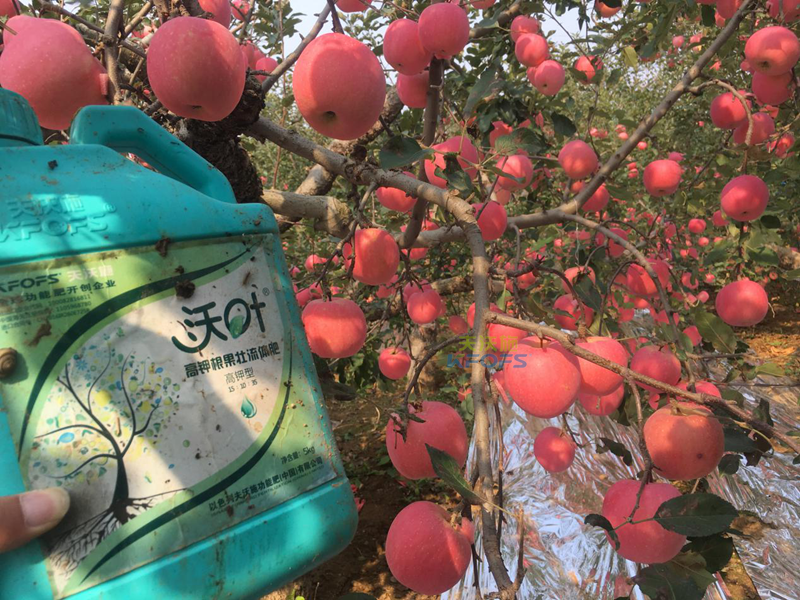 沖施肥-果樹(shù)使用哪種沖施肥好