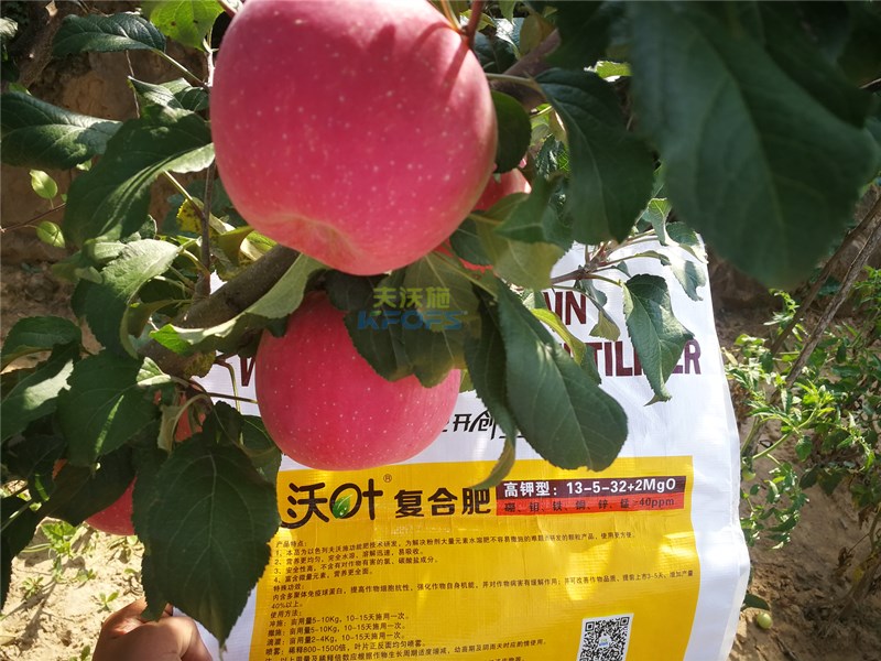 水溶肥你了解多少?什么時候使用效果最好?