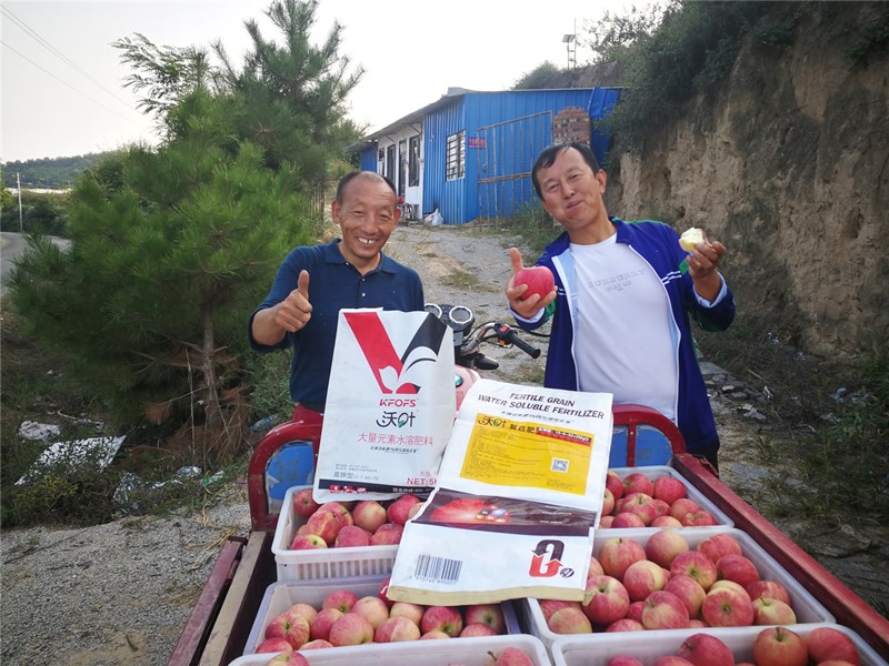 水溶肥如何選擇，果樹應該使用什么類型？