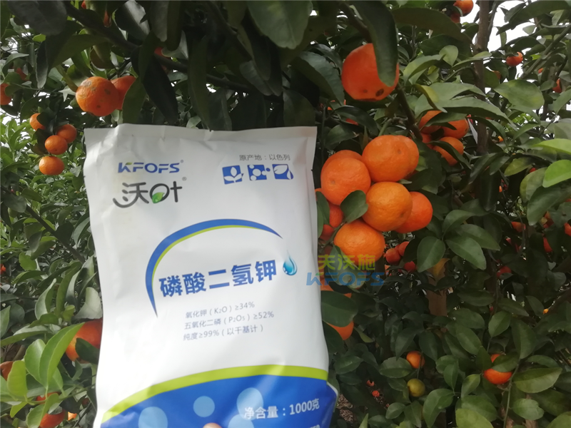 磷酸二氫鉀施用事半功倍，果樹補(bǔ)鉀應(yīng)怎么選？