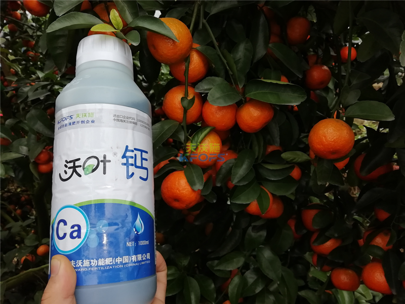 葉面鈣-柑橘用葉面鈣效果.png