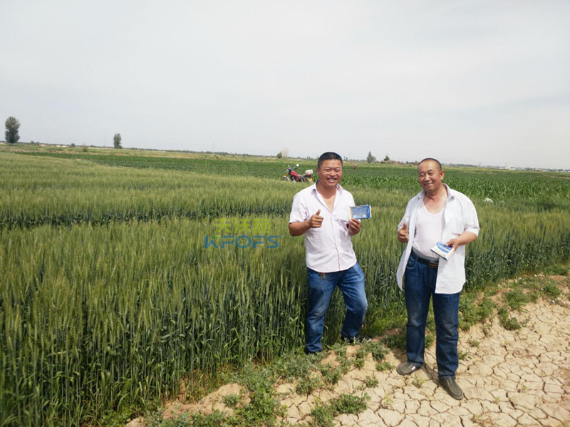 肥料價(jià)格的差距給作物帶來(lái)了什么樣的差距？