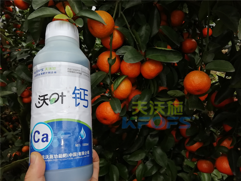 種柑橘用什么肥料好？