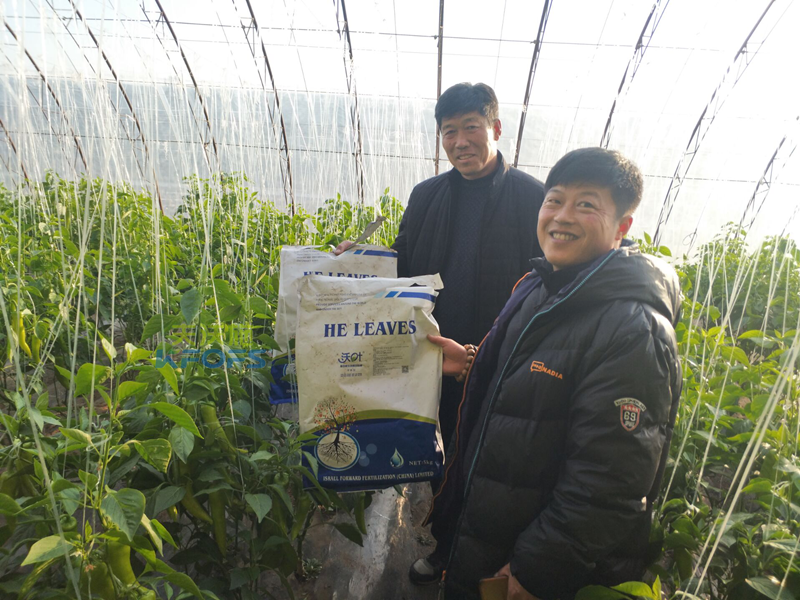 微生物菌劑是依靠什么在市場(chǎng)中迅速火爆起來(lái)？