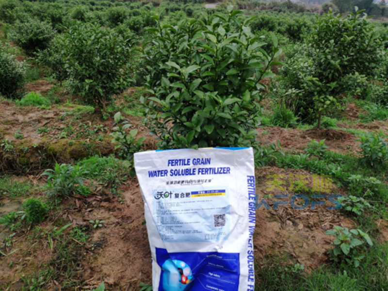 沖施肥哪家好？