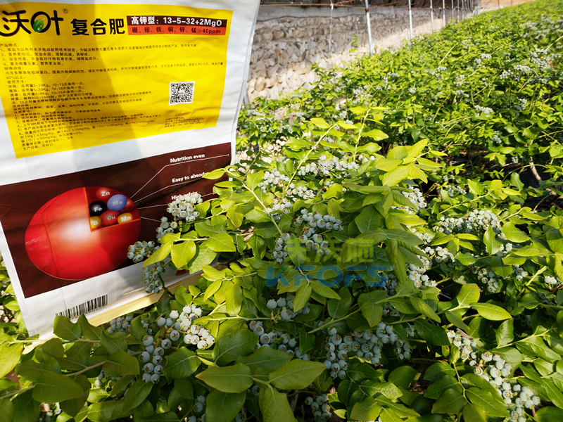 肥料價(jià)格的差距，給作物帶來(lái)了什么差距？