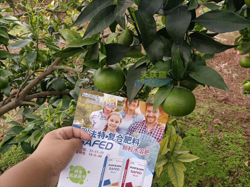 水溶肥料的特點(diǎn)？夫沃施有話說！