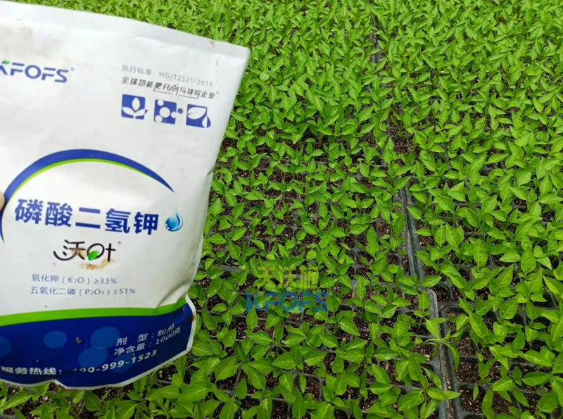 磷酸二氫鉀的使用方法，沃葉為例