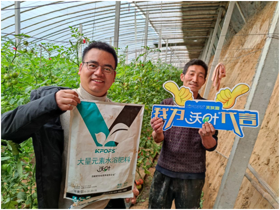 水溶肥那一個(gè)廠的好！