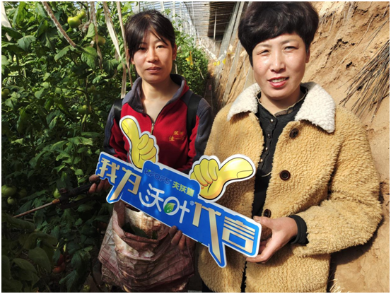 水溶肥哪一個(gè)廠的好-夫沃施沃葉用戶見證 (2).png