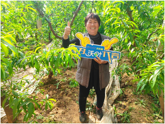 水溶肥哪個(gè)公司的好？國(guó)產(chǎn)進(jìn)口做比較！