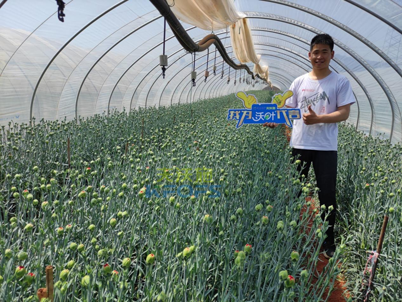 進口水溶肥怎么選？王總的答案！