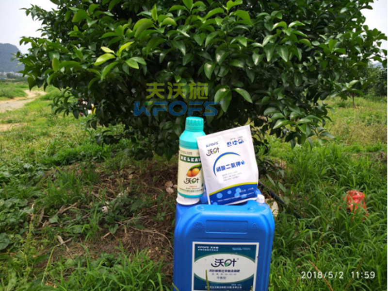 水溶肥在果樹上的施用？