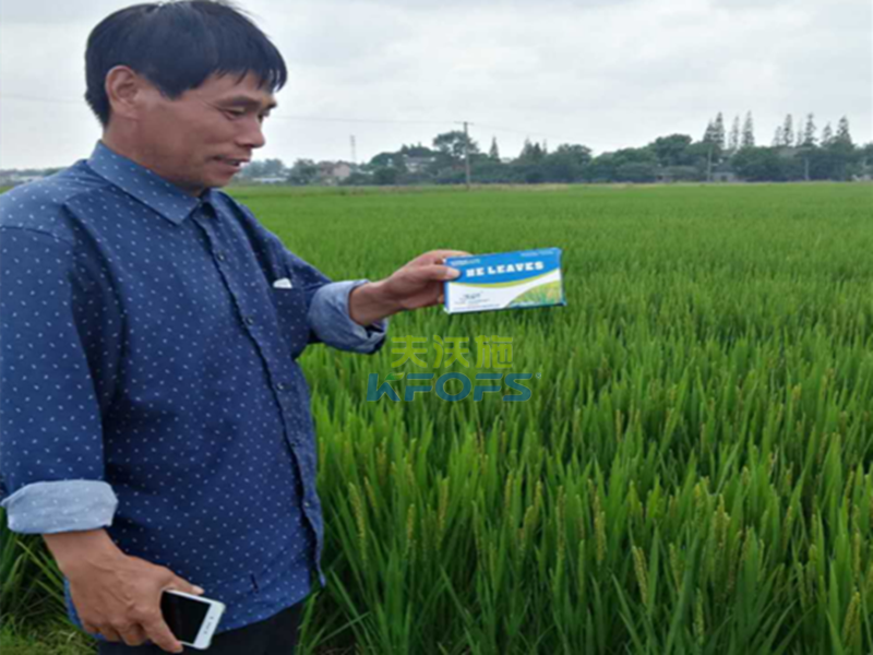 進(jìn)口葉面肥vs國產(chǎn)葉面肥