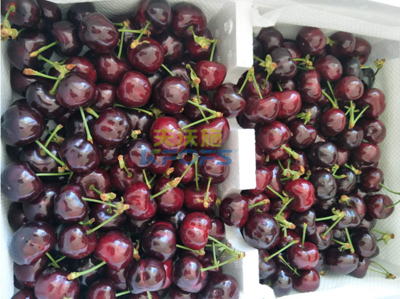 沖施肥的用途？