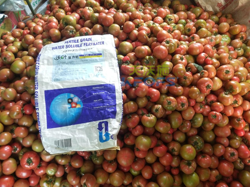 顆粒水溶肥，張總為何選夫沃施？