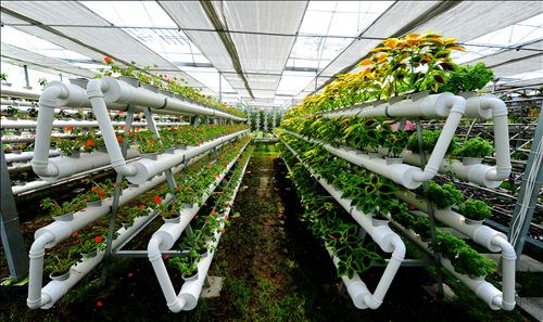 國(guó)家水肥一體化工程--液體肥料普及勢(shì)在必行