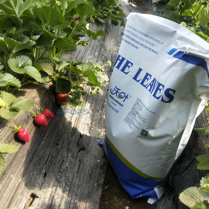 草莓用什么肥料比較好？1.png