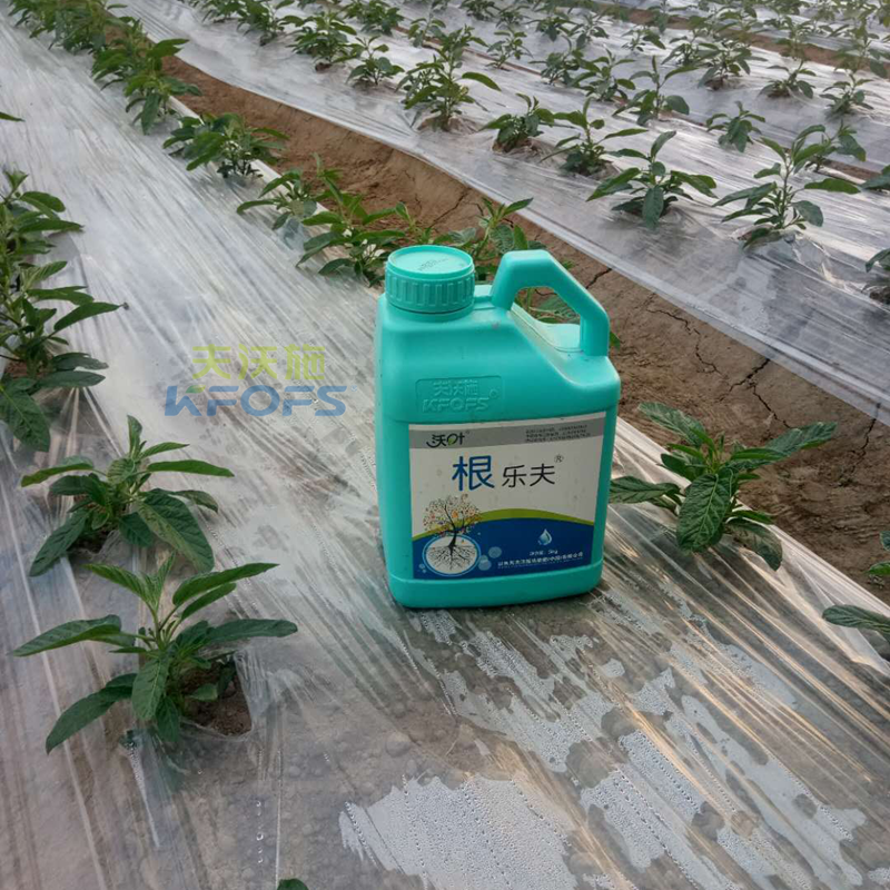 沖施肥哪家好-來自農(nóng)資人的真實(shí)經(jīng)歷